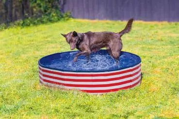 Hundepool weiß/rot Streifen